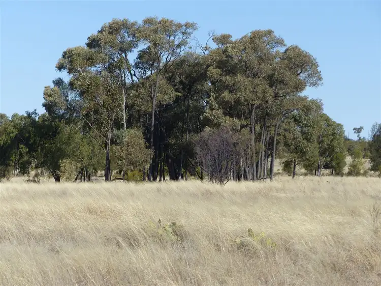 Main view of Homely rural property listing, "Baiden" 3347 Wallumbilla North Road, Roma QLD 4455