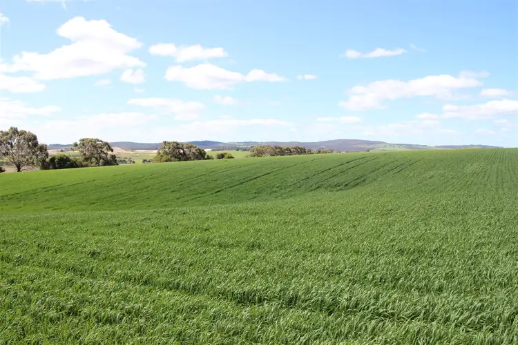 Second view of Homely rural property listing, . Pittong-Lismore Road, Pittong VIC 3360