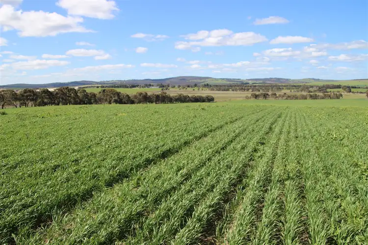 Third view of Homely rural property listing, . Pittong-Lismore Road, Pittong VIC 3360