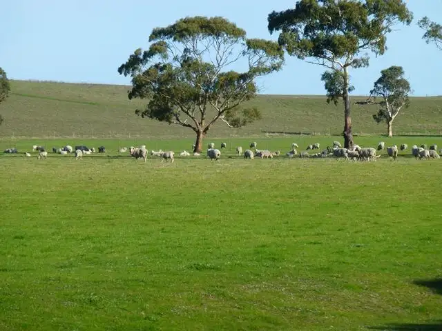 Main view of Homely rural property listing, 877 Eckert Road, Keith SA 5267