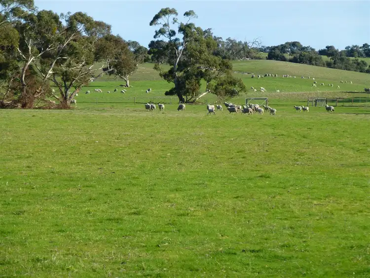 Fourth view of Homely rural property listing, 877 Eckert Road, Keith SA 5267