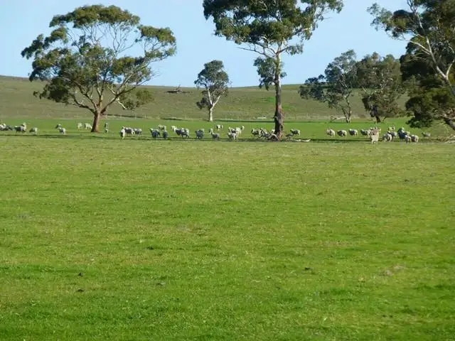 Fifth view of Homely rural property listing, 877 Eckert Road, Keith SA 5267