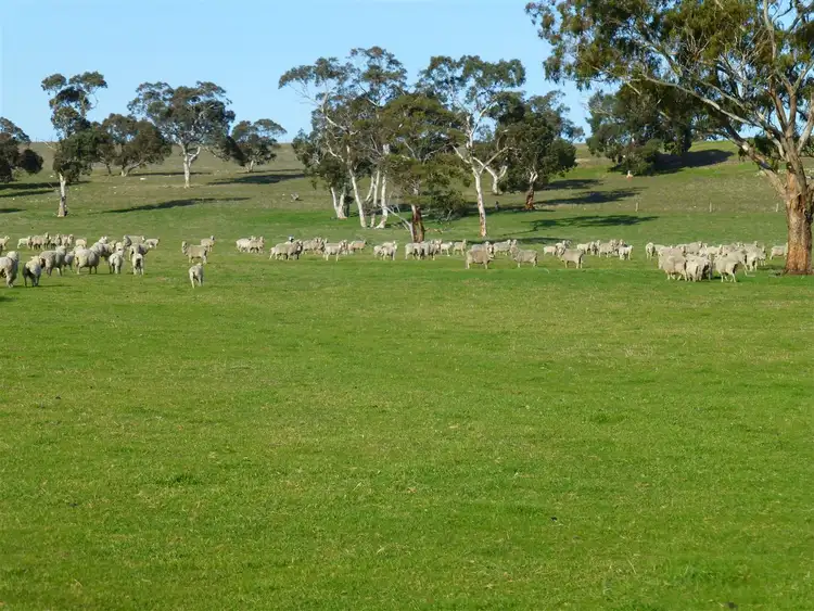 Seventh view of Homely rural property listing, 877 Eckert Road, Keith SA 5267