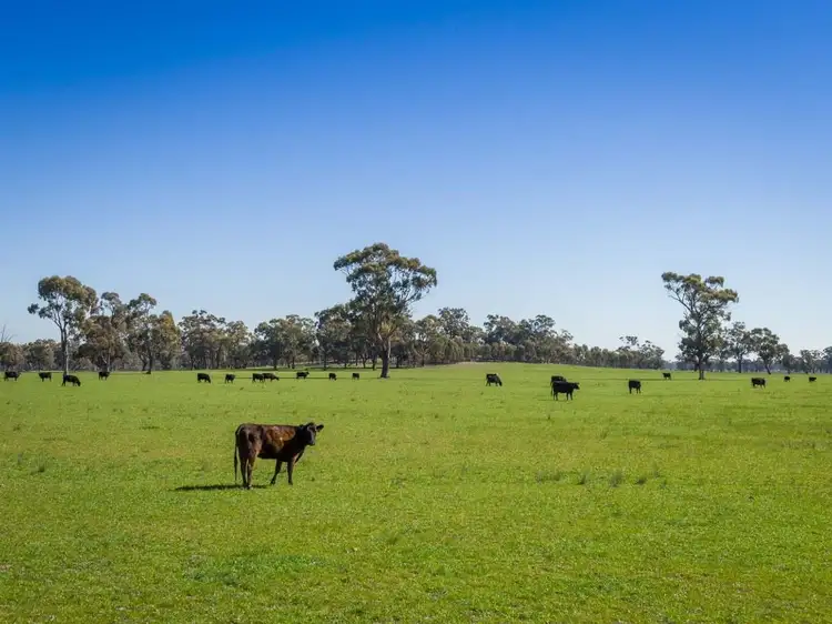 Second view of Homely rural property listing, 0 Grimwade Road, Nagambie VIC 3608