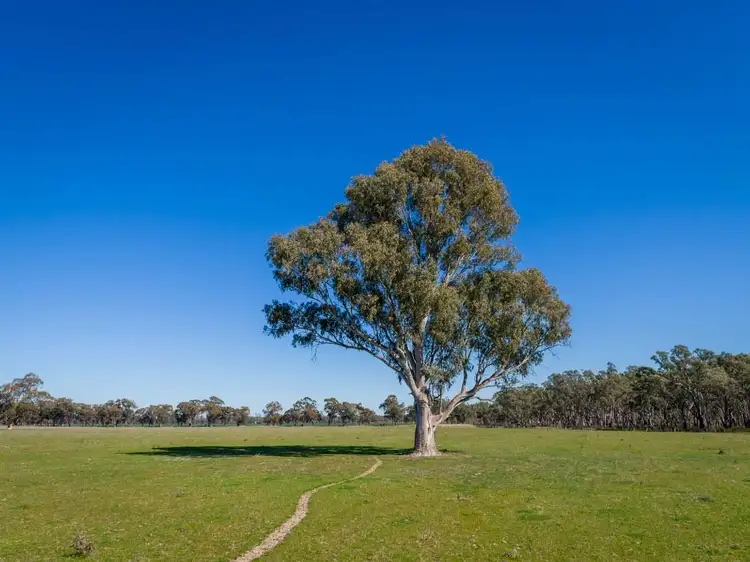 Fifth view of Homely rural property listing, 0 Grimwade Road, Nagambie VIC 3608