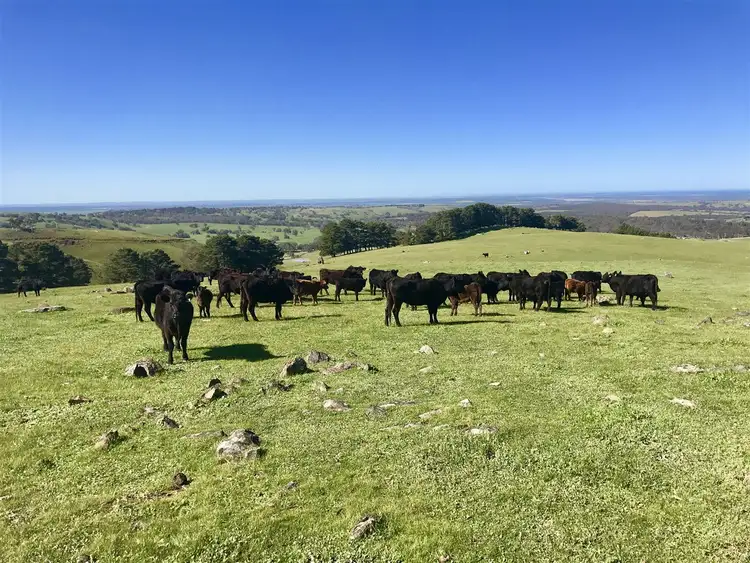 Third view of Homely rural property listing, 116 Lode Road, Ashbourne SA 5157