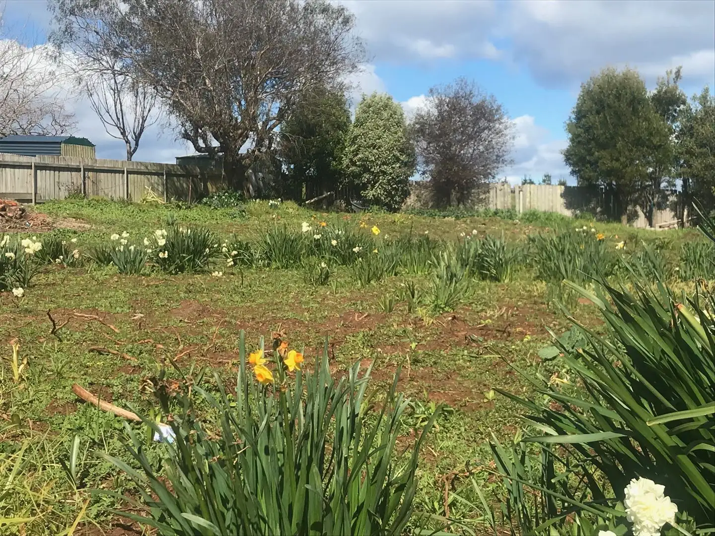 Main view of Homely land listing, 11 Marine Street, East Devonport TAS 7310