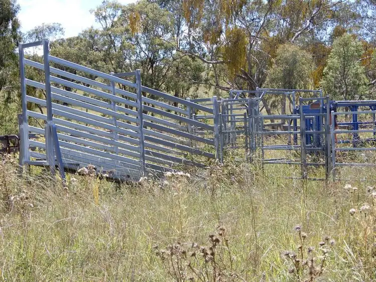 Seventh view of Homely rural property listing, 231 Halls Road, Spring Creek QLD 4361