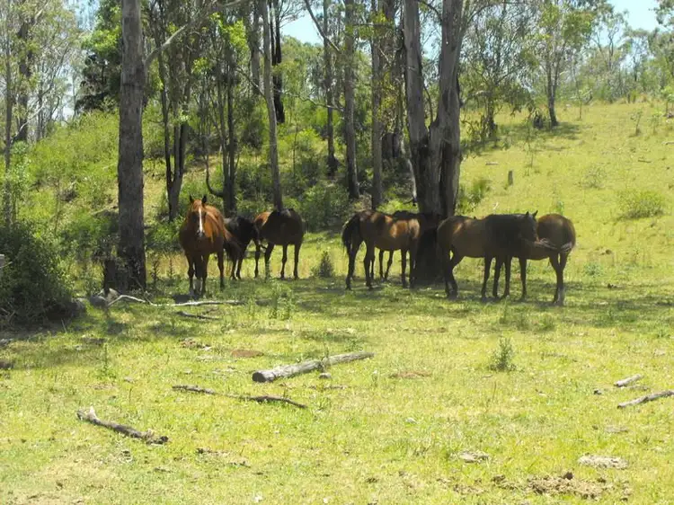 Lot 2 Harris Road, Pilton QLD 4361