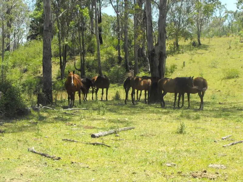 Main view of Homely rural property listing, Lot 2 Harris Road, Pilton QLD 4361