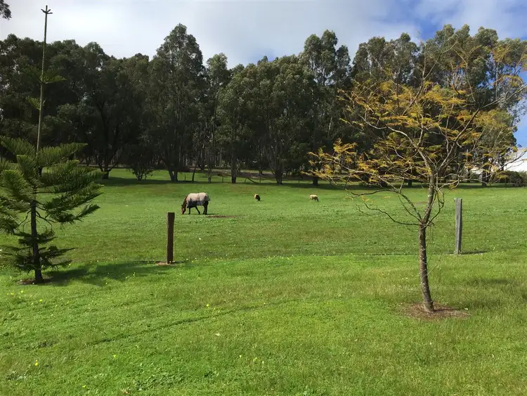 Lot 19 Walter Road, Bridgetown WA 6255