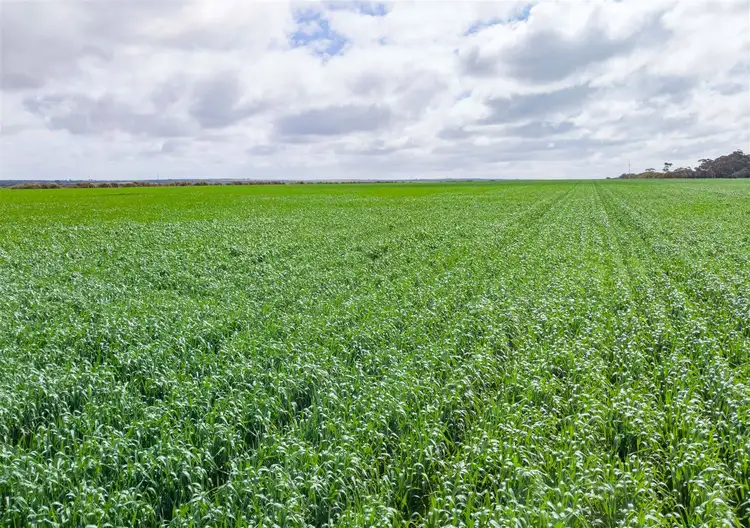 Sixth view of Homely rural property listing, Address available on request