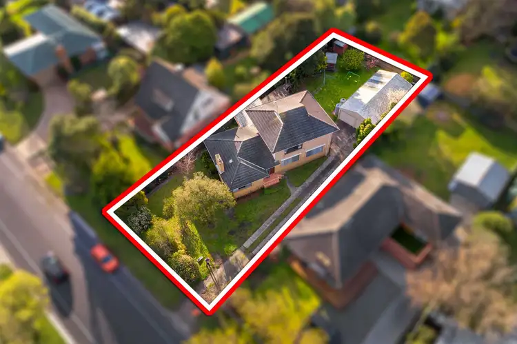 51 Shandon Street, Mornington VIC 3931