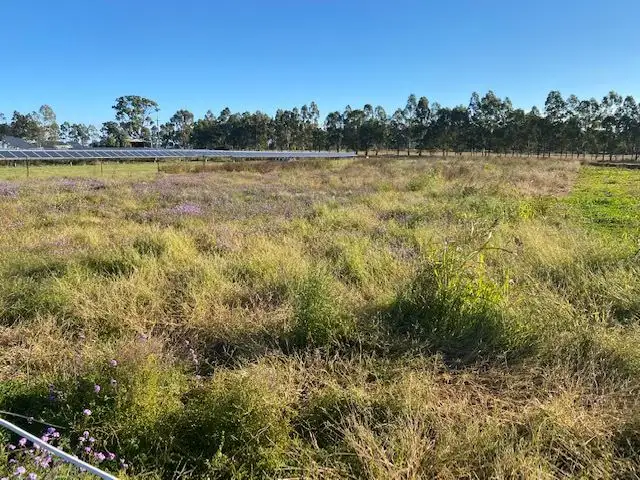 Fifth view of Homely land listing, Lot 23 & 32 Chelmsford Street, Ellinthorp QLD 4362