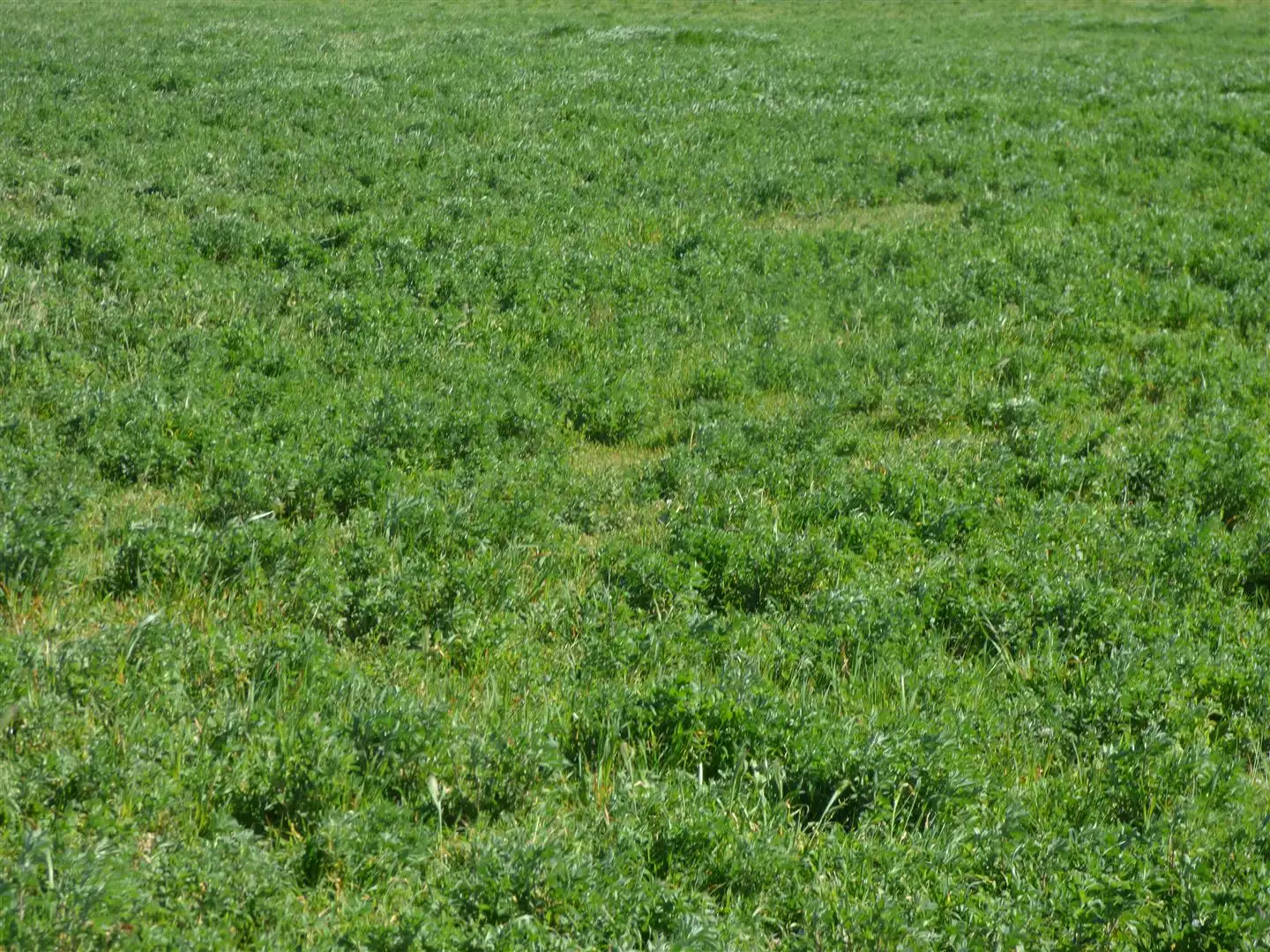 Main view of Homely rural property listing, 1187 Ararat- St Arnaud Road, Crowlands VIC 3377