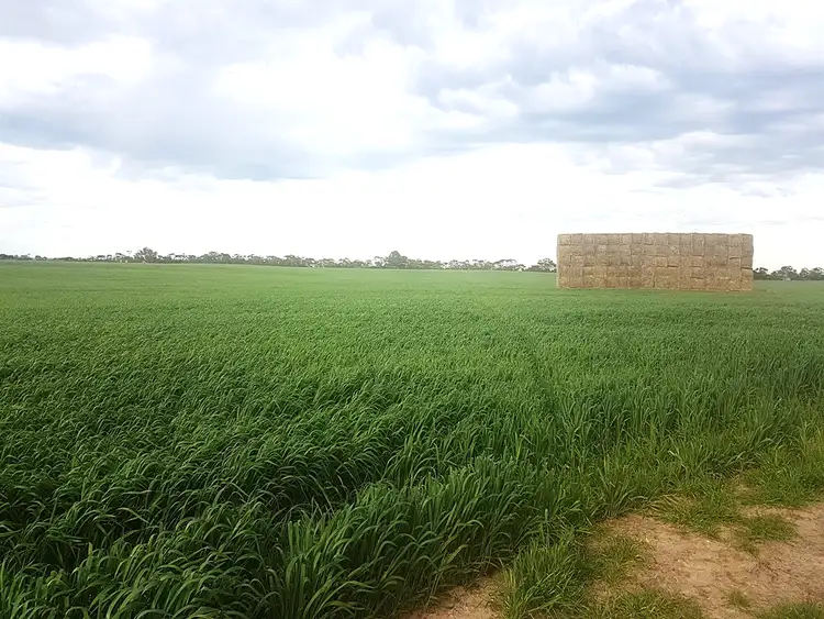 Second view of Homely rural property listing, 519/520 Nine Mile Road, Angas Plains SA 5255