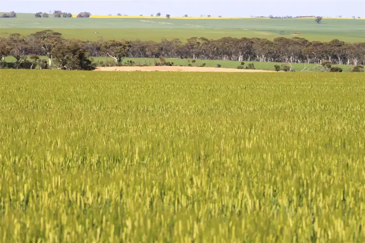 Main view of Homely rural property listing, 168 Big Springs Road, Calingiri WA 6569