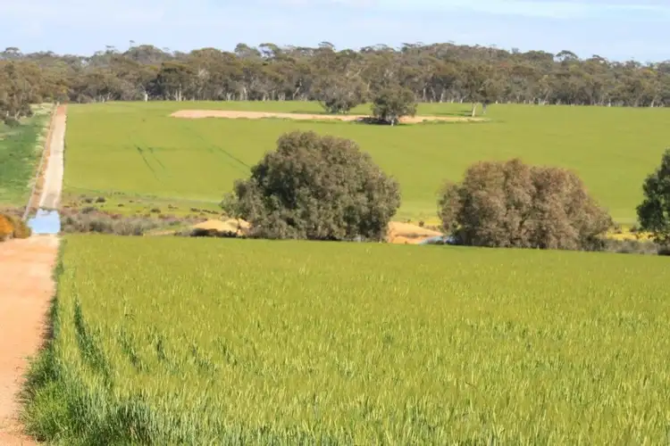 Third view of Homely rural property listing, 168 Big Springs Road, Calingiri WA 6569