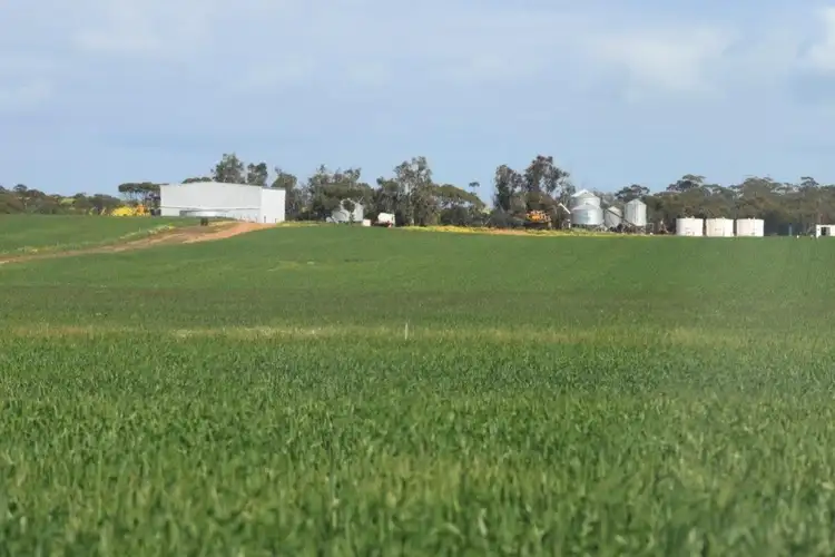 Fifth view of Homely rural property listing, 168 Big Springs Road, Calingiri WA 6569