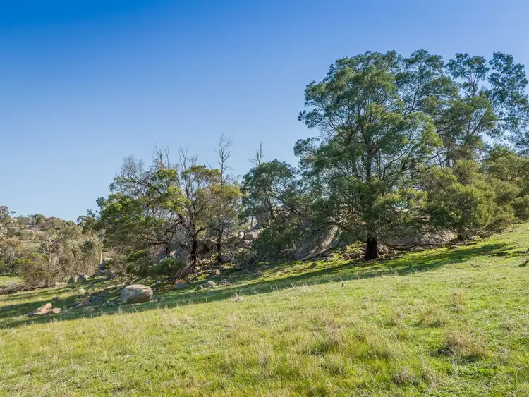 Fifth view of Homely rural property listing, 0 Longwood-Mansfield Road, Gooram VIC 3666