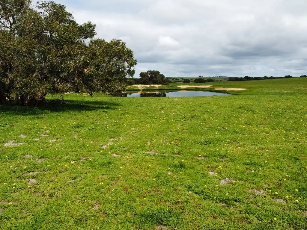 Main view of Homely rural property listing, Lot 3562 Boundary Road, Moora WA 6510