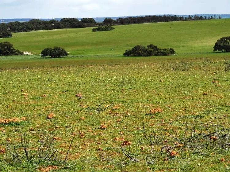 Second view of Homely rural property listing, Lot 3562 Boundary Road, Moora WA 6510