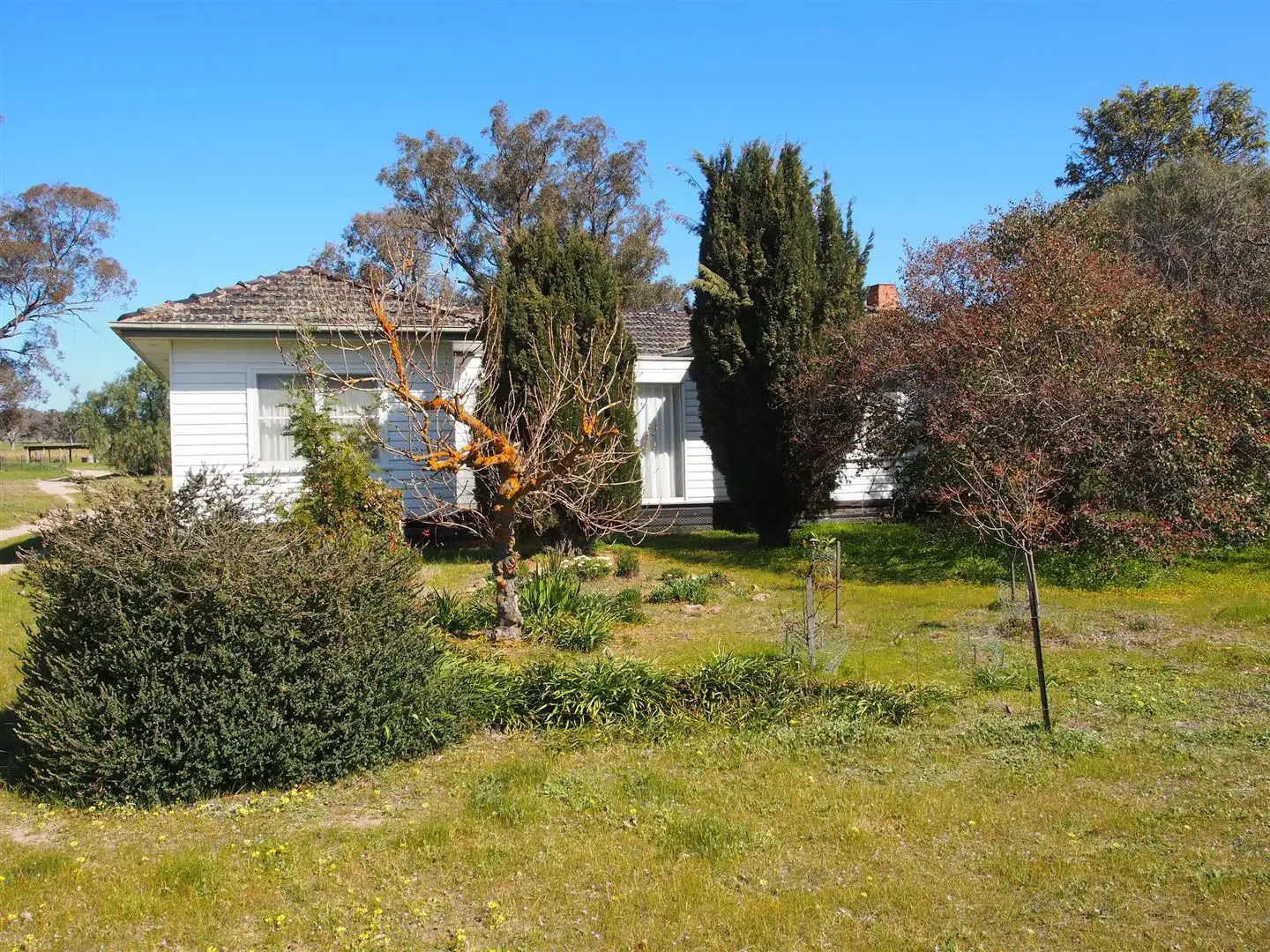 Main view of Homely rural property listing, 222 Sayers Rd, Thoona VIC 3726