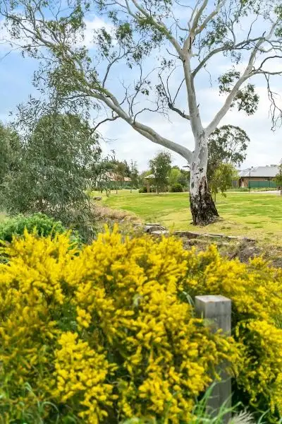 Fifth view of Homely land listing, - The Parkway, Nuriootpa SA 5355