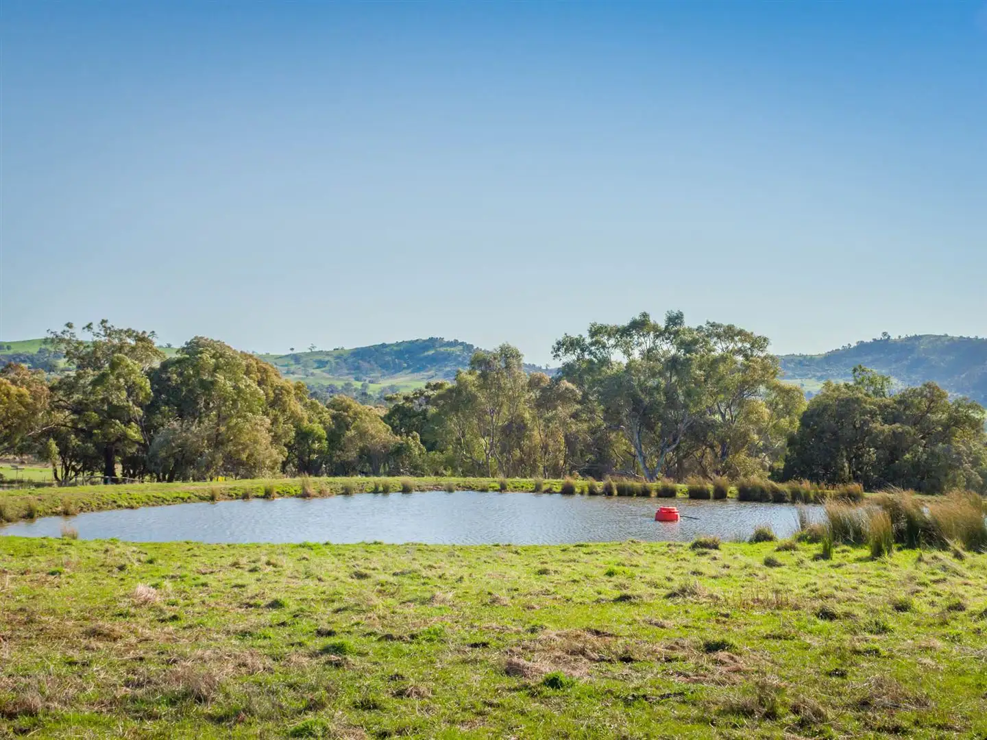 Main view of Homely rural property listing, 1425 Euroa-Mansfield Road, Gooram VIC 3666
