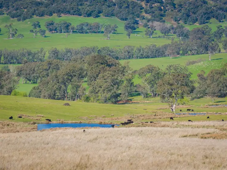 Fourth view of Homely rural property listing, 1425 Euroa-Mansfield Road, Gooram VIC 3666