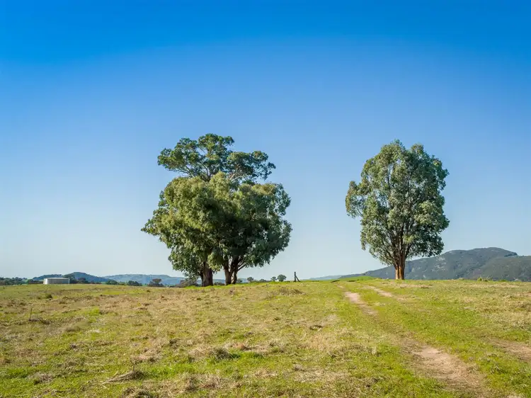 Fifth view of Homely rural property listing, 1425 Euroa-Mansfield Road, Gooram VIC 3666