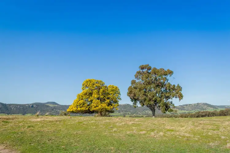 Seventh view of Homely rural property listing, 1425 Euroa-Mansfield Road, Gooram VIC 3666