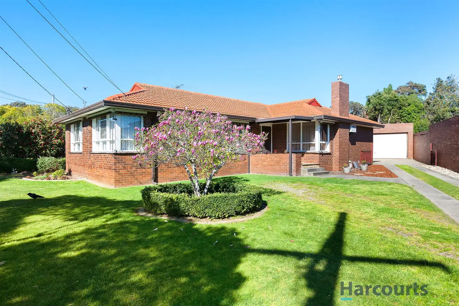 Main view of Homely house listing, 20 Lowen Road, Glen Waverley VIC 3150