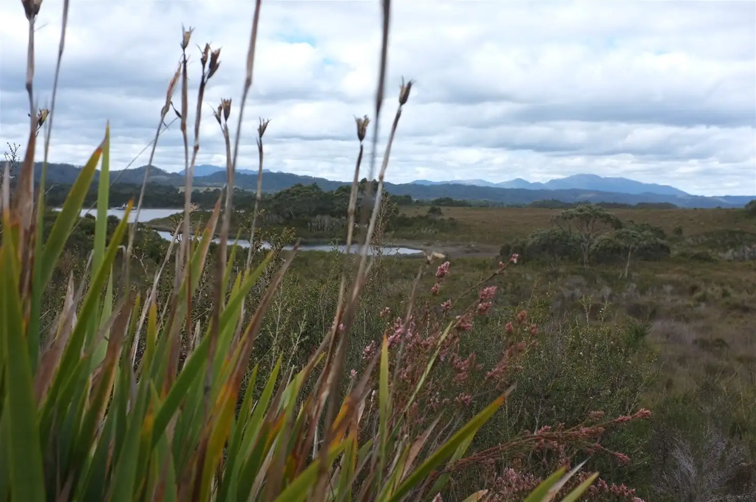 Main view of Homely land listing, 39 Sarson Close, Strahan TAS 7468