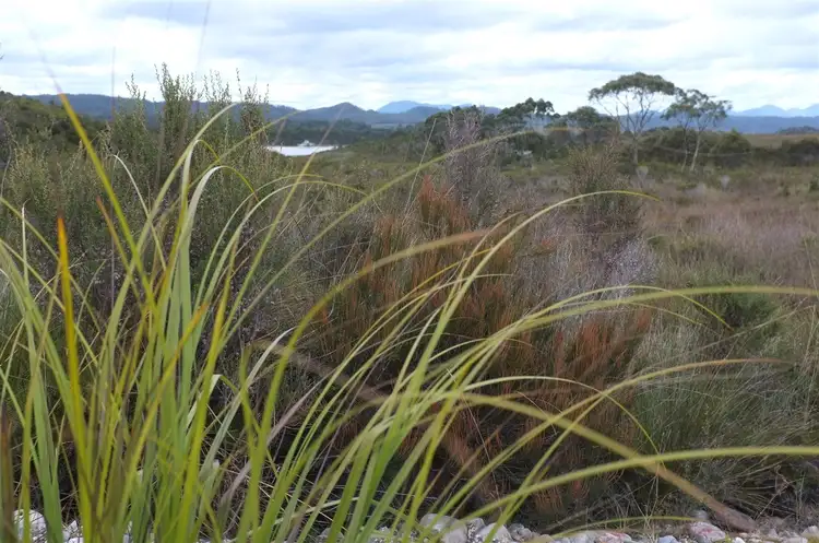 Seventh view of Homely land listing, 39 Sarson Close, Strahan TAS 7468