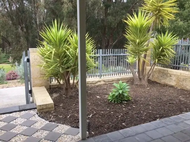 Main view of Homely house listing, 19 Windy Lane, Yanchep WA 6035