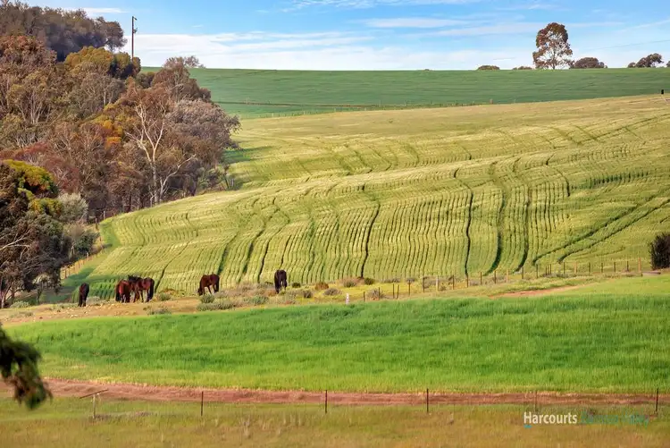 Fifth view of Homely house listing, 5 Ibis Mews, Hewett SA 5118