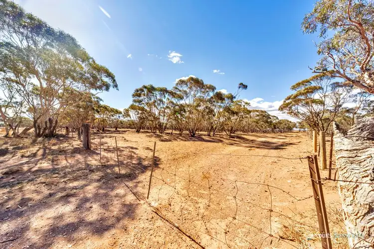 Lot 733 Bower Boundary Road, Steinfeld SA 5356
