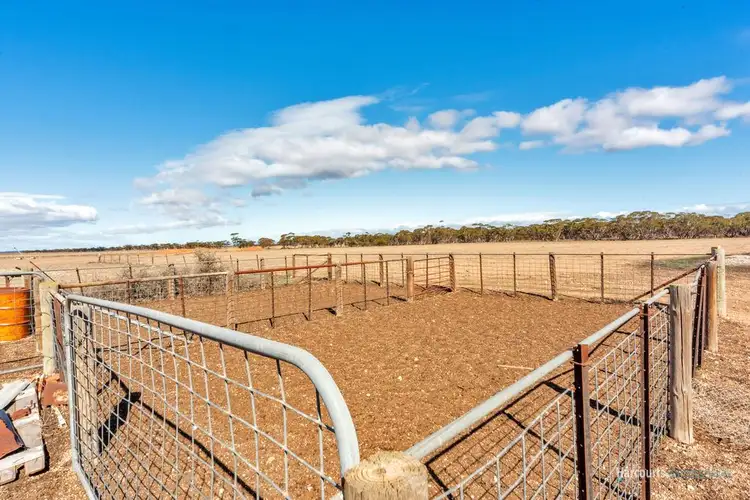 Fifth view of Homely rural property listing, Lot 733 Bower Boundary Road, Steinfeld SA 5356