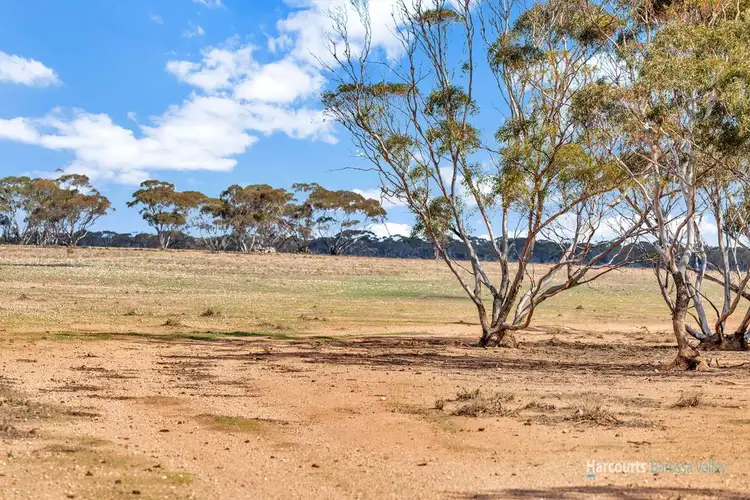 Sixth view of Homely rural property listing, Lot 733 Bower Boundary Road, Steinfeld SA 5356