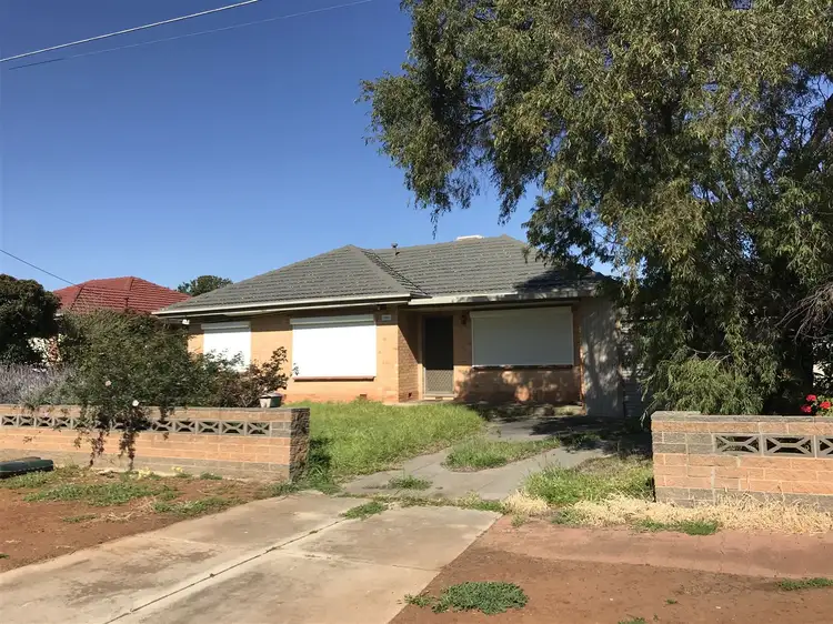 13 Lincoln Road, Paradise SA 5075