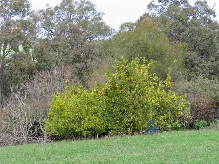 Seventh view of Homely land listing, 23 Silverbirch Hts, Bridgetown WA 6255