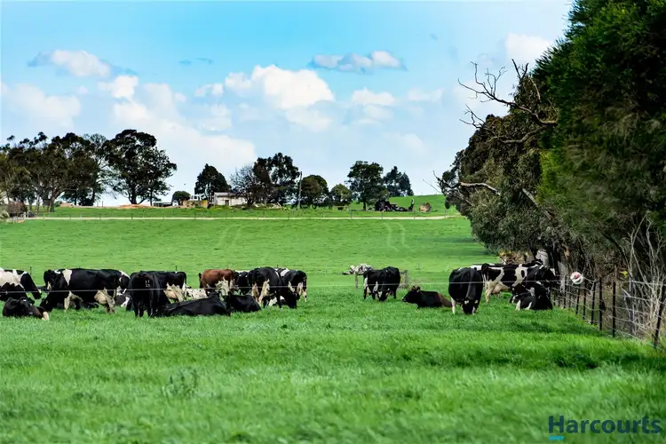 Third view of Homely rural property listing, 385 Labertouche North Road, Labertouche VIC 3816