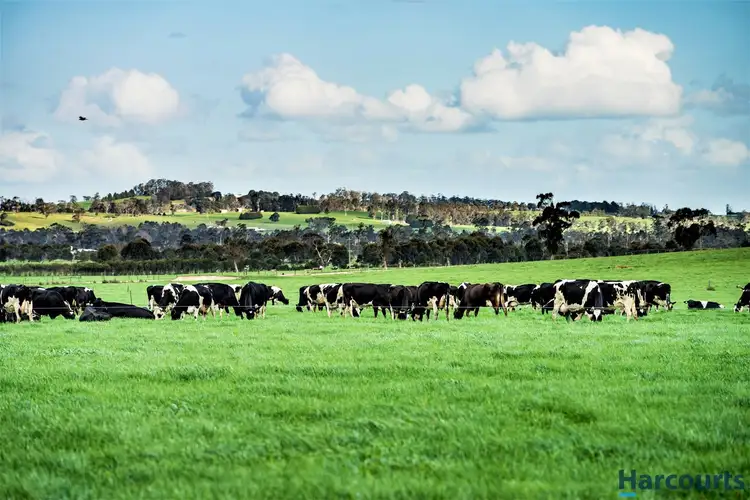 Fourth view of Homely rural property listing, 385 Labertouche North Road, Labertouche VIC 3816