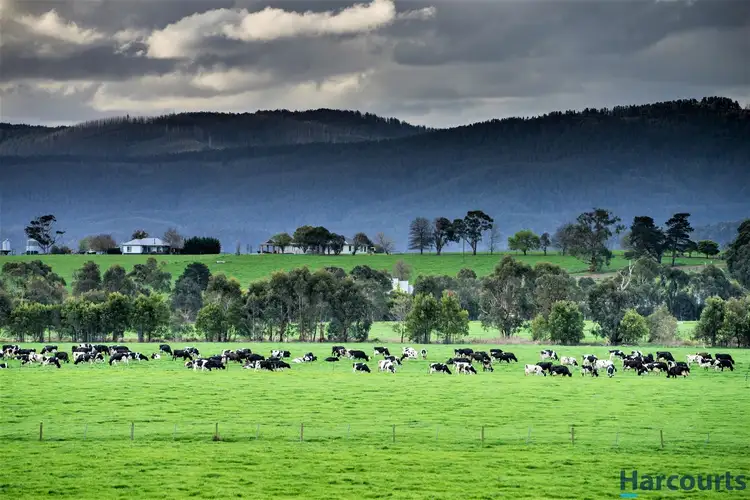 Fifth view of Homely rural property listing, 385 Labertouche North Road, Labertouche VIC 3816