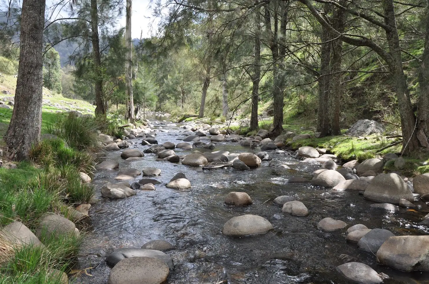 Main view of Homely rural property listing, Lot 15 "Two Creeks" Moonan Brook via, Scone NSW 2337