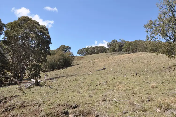 Fifth view of Homely rural property listing, Lot 15 "Two Creeks" Moonan Brook via, Scone NSW 2337