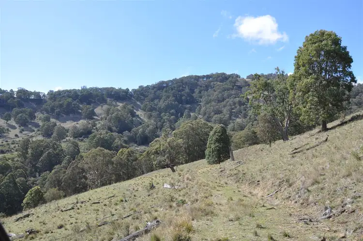 Seventh view of Homely rural property listing, Lot 15 "Two Creeks" Moonan Brook via, Scone NSW 2337