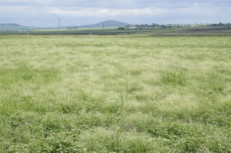 Fifth view of Homely land listing, 38 Gilbride Street, Nobby QLD 4360