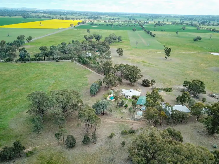 Main view of Homely rural property listing, 116 Benalla-Tocumwal Road, Goorambat VIC 3725